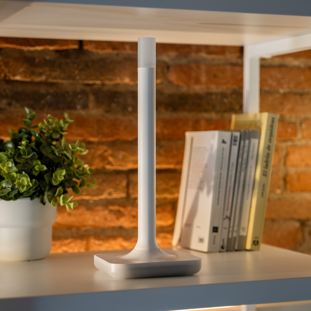 Home Assistant Connect ZWA-2