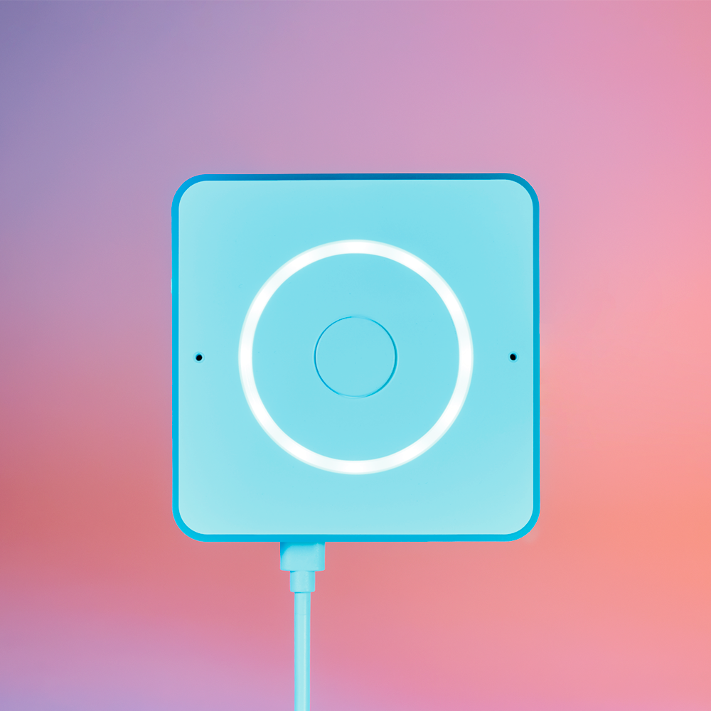 Home Assistant Voice Preview Edition