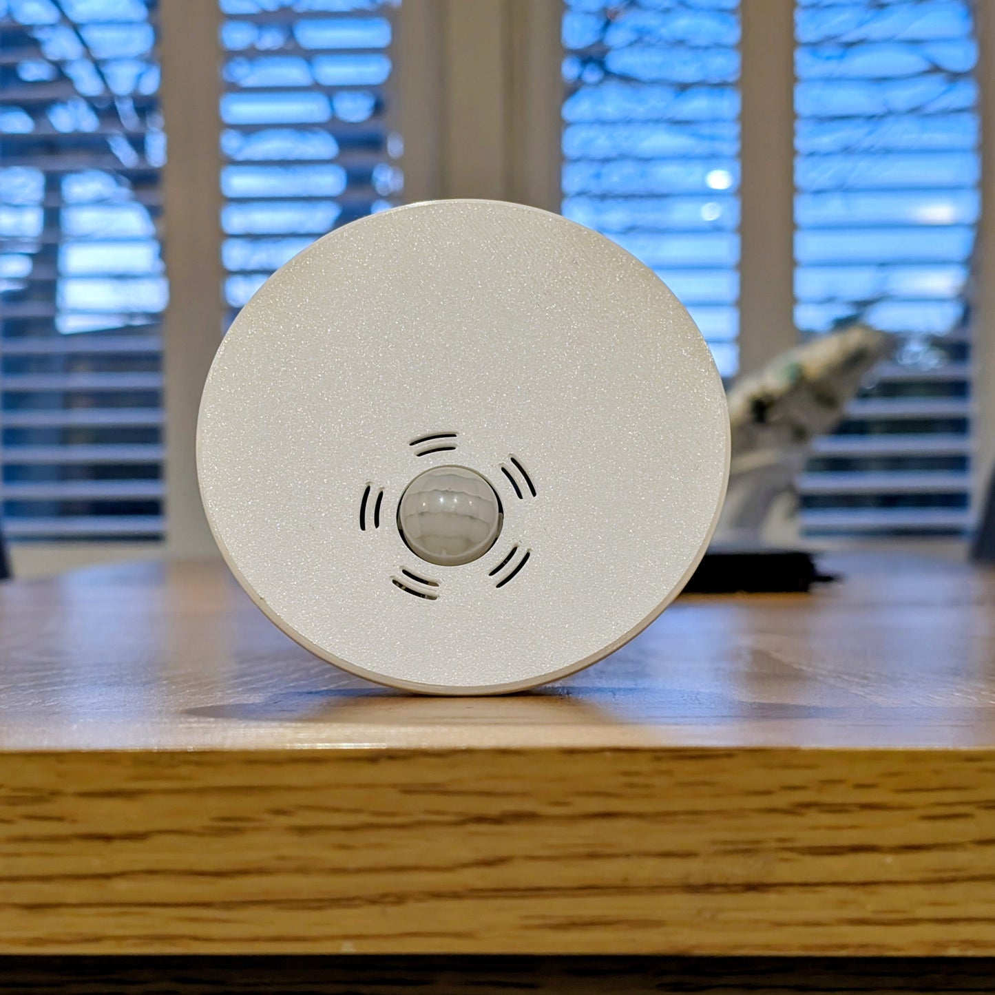 Everything Presence Pro - Ceiling Mount