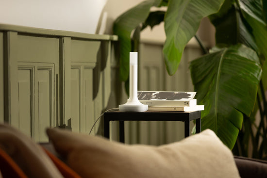 Home Assistant Connect ZBT-2