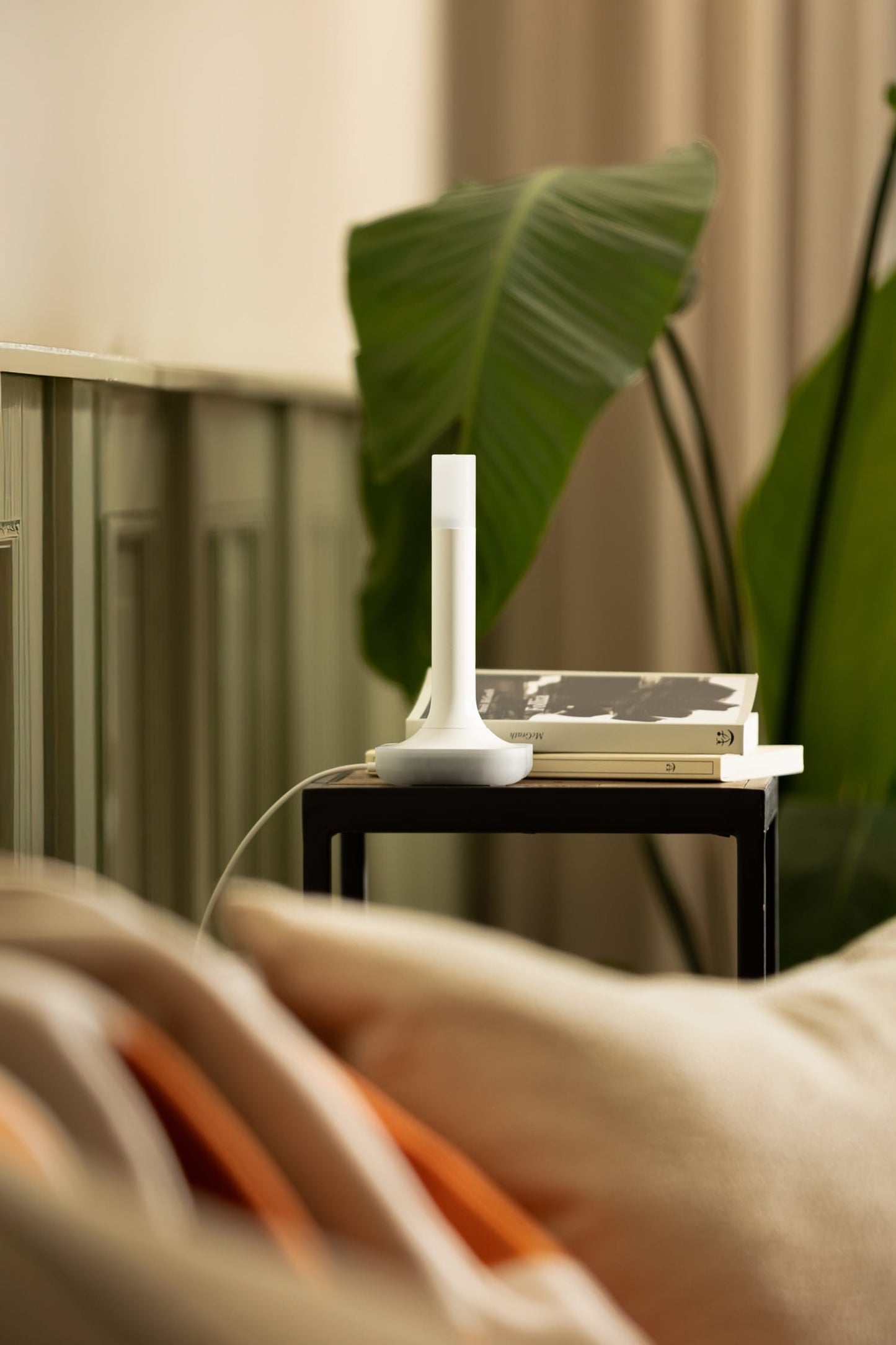 Home Assistant Connect ZBT-2