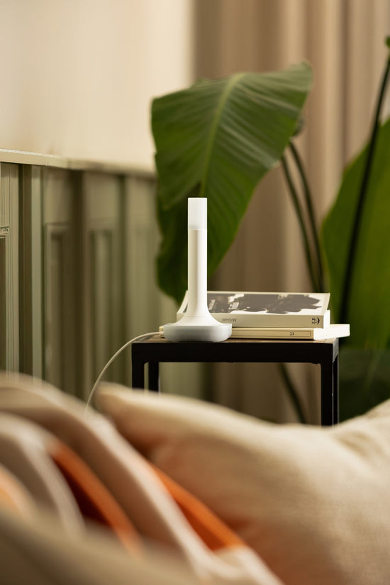 Home Assistant Connect ZBT-2