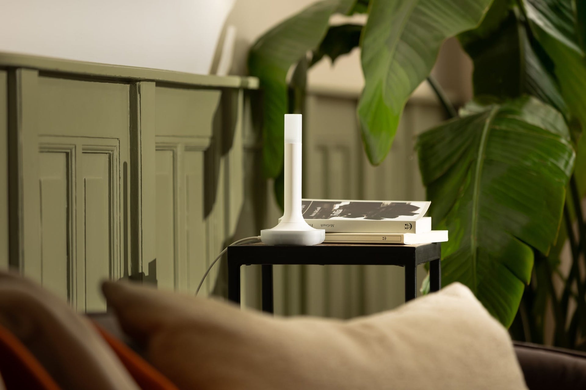 Home Assistant Connect ZBT-2